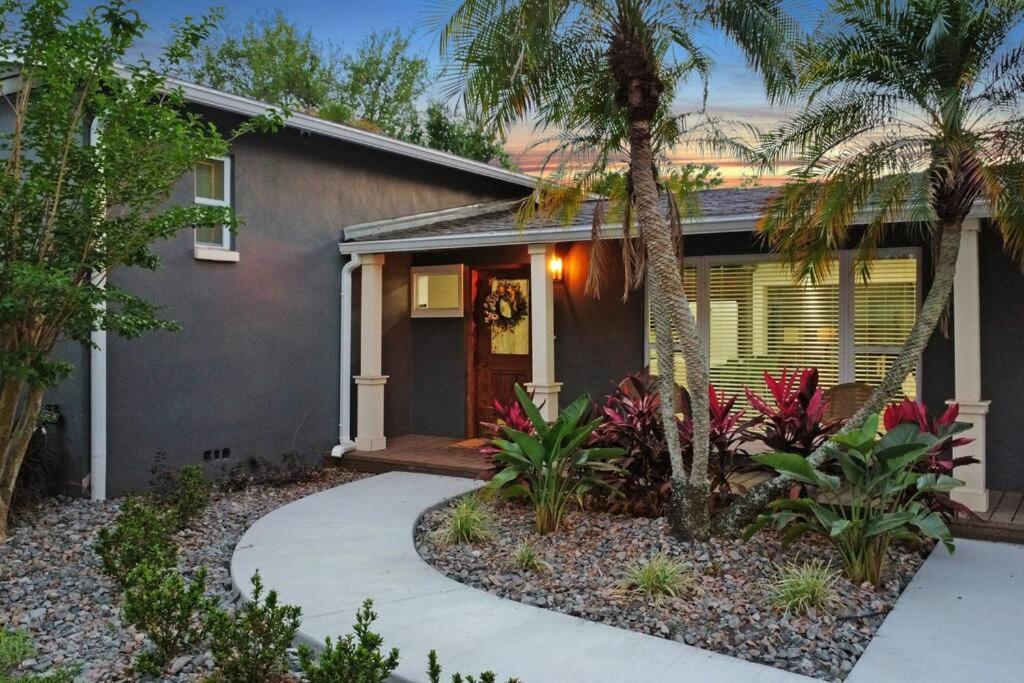 Palm Tree Paradise Tampa Pool Home Extérieur photo
