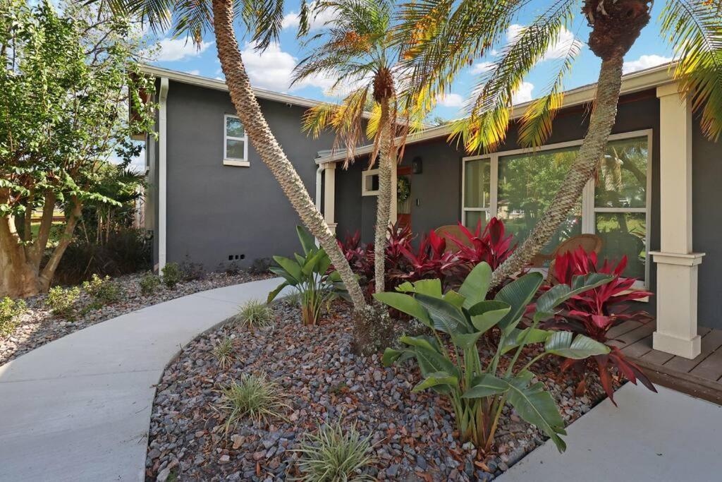 Palm Tree Paradise Tampa Pool Home Extérieur photo